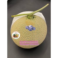 静岡皇冠 青肉蜜瓜