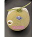 i-Arus Melon
