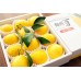 i-Mandarin of Japan(9-10/pcs/Box)