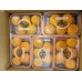 i-Mandarin of Japan