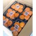 i-Mandarin of Japan