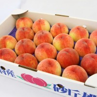 i-Niigata Peach 5kg