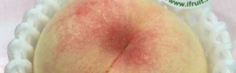 「水蜜桃」出產喇！