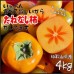 Black Sesane Persimmon (10/box) 5L
