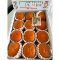 Black Sesane Persimmon (12-13/box) 