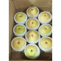 日本鳥取二十世紀水晶梨(10-16裝/5Kg每箱)