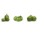 Zealand Kiwi berry 
