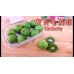 Zealand Kiwi berry 