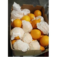 i-Cara Cara Blood Orange