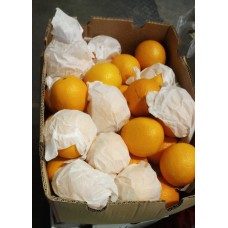 血橙/紅肉橙(56/72裝)