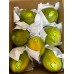 木瓜 夏威夷Papaya (每箱4-8個)
