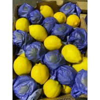 i-Lemon South Africa