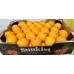South Africa Sunkits Valencia Orange(10kg/box)