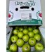 i-Green Apples for South Africa (15Kg/box)
