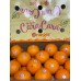 CARA CARA NAVEL ORANGE