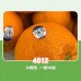 USA Sunkits Valencia Orange(10kg/box)