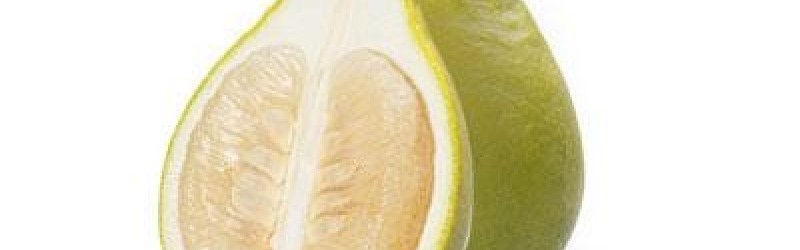 【中秋柚】文旦、沙田柚、泰國三角牌，你又知唔知邊隻啱你食？